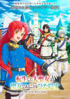Tensei shita Daiseijo wa, Seijo de Aru Koto wo Hitakakusu Subtitle Indonesia